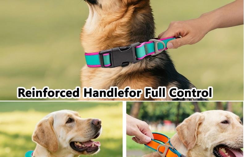 Comfort Crafted Collar