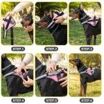 Comforting Support Vest 4