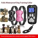 Calm Comfort Collar 4