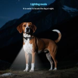CalmTouch Companion