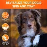 Fluffo Omega-3 Soft Chews - Gentle Comfort for Sensitive Skin & Joints 5