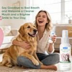 Dog Cozy Comfort Kit 3