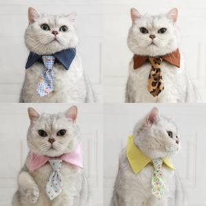 Whisker Wonders Bow Tie Collar