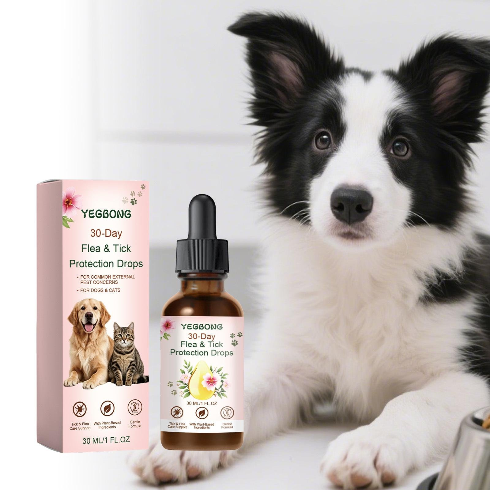 Tranquil Comfort Companion