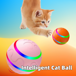 Whimsy Ball Toy