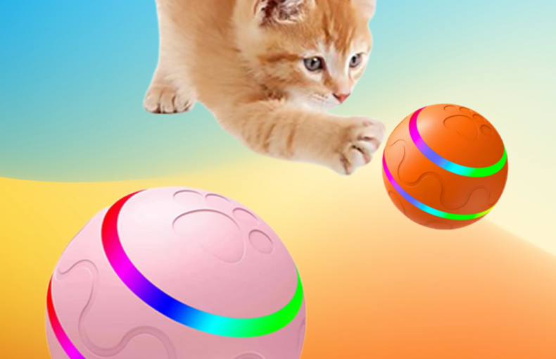 Whimsy Ball Toy