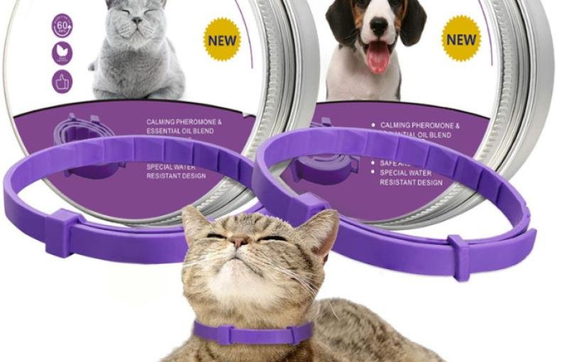 Serenity Comfort Collar
