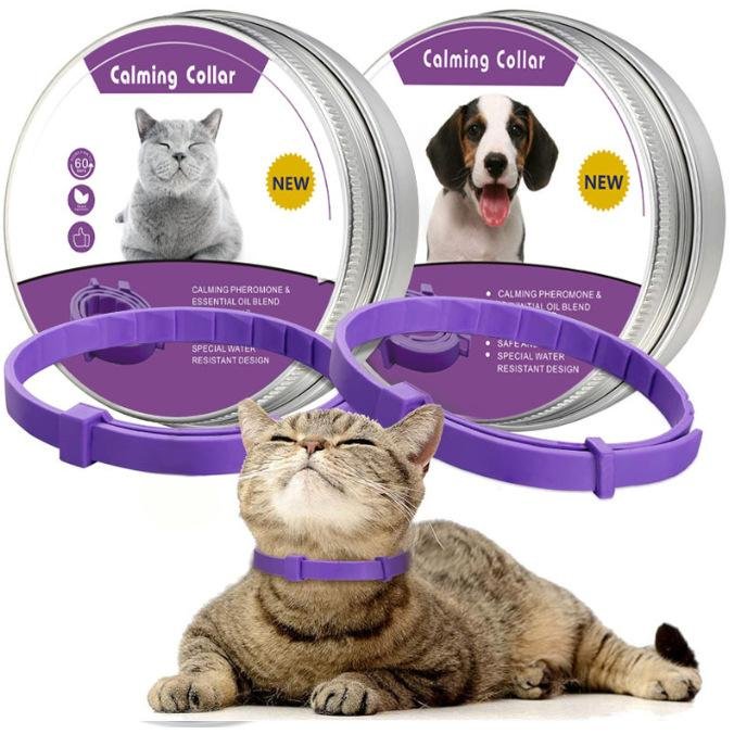 Serenity Comfort Collar