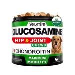 Joint Comfort Chews 1