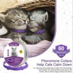 Serenity Comfort Collar 3
