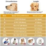 Comfort Muzzle for Sensitive Dogs 2