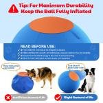 Calming Herding Ball 6