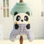 Cozy Comfort Sweaters 2